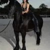 Sabina photo 10, average, black hair, 166 cm, 58 kg, Small bust, Hong Kong