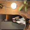 Taohua photo 11, asian, busty, black hair, 165 cm, 53 kg, Large bust, Hong Kong